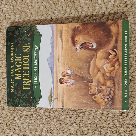 Lot of 12 Magic Tree House Paperback Books (Book 1-12) - Picture 13 of 16